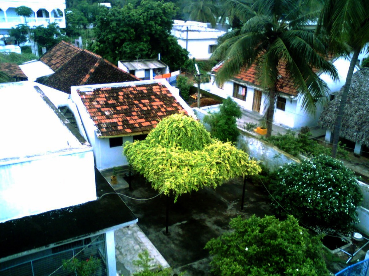Tagarapuvalasa